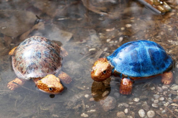 Schwimmtiere aus Keramik Schildkröten in blau oder natur