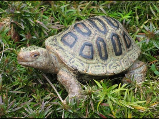 Gartenfigur Schildkröte Schilfi